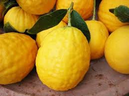 Recette Corse Cedrat Corse Farine De Chataigne Cuisiner Des Agrumes Corses Specialite Corse Recettes Corses Cedrat Recettes A Base De Fruits
