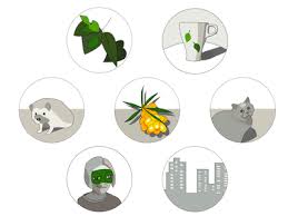 We did not find results for: Instagram Story Highlight Icons Designs Themes Templates And Downloadable Graphic Elements On Dribbble