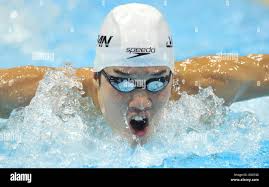 Swimming roebuck hi-res stock photography and images