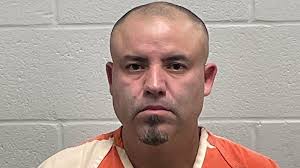 Bald eagle found in Potato Creek State Park dies of lead poisoning