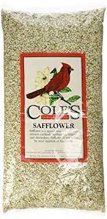Cole S Sa05 Safflower Bird Seed 5 Pound In 2021 Bird Seed Safflower Backyard Birds