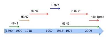 A Brief History Of Influenza Viroblogy