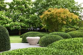 Pin By Valerie Malfait On Tilford P Lawn And Landscape Modern Garden Outdoor Gardens