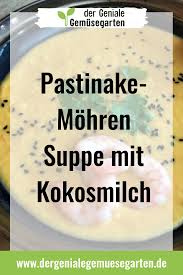 Man Konnte Sagen Dass Die Pastinake Sowas Wie Ein Fast Vergessenes Wurzelgemuse Ist Eigentlich Sind Ihre Wu Pastinake Suppe Mit Kokosmilch Wurzelpetersilie