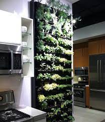Indoor Herb Garden For The Kitchen Herb Garden In Kitchen Kitchen Herbs Herb Wall