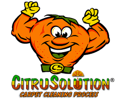 The joint chiropractic pooler, ga is located in the publix shopping center, at the intersection of pooler parkway maximizing your spring cleaning efforts. Citrusolution Upholstery Carpet Cleaning Statesboro Ga