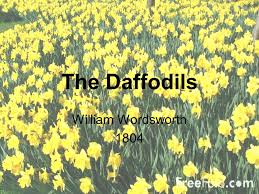 The picture is of daffodils at ullswater. The Daffodils William Wordsworth Ppt Video Online Download