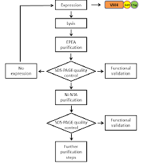 Flow Chart Of The Purification Protocol Used For Recovering
