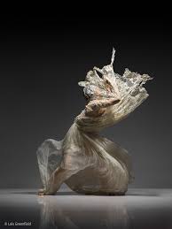 Resultado de imagen para lois greenfield