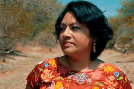 Hector santiago pineda is on facebook. Irma Pineda Santiago Es Postulada Como Representante Indigena Ante La Onu Voces Feministas