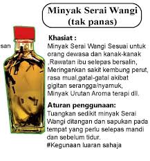 Serai wangi indonesia, citronella oil of java. Minyak Serai Wangi Kebaikan Herba Tradisional Afiqah Facebook