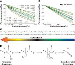 Covalent Modification Of Amino Acids And Peptides Induced By