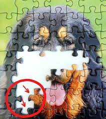 Jan 14, 2020 · you can read all the sudoku tips you want, but you need more than an understanding of sudoku rules and a sudoku strategy to be a true puzzle master. 5 Tips Para Hacer Tus Primeros Puzzles Cronicas Puzzleras