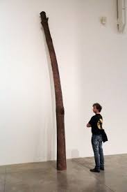 Arte Povera Capolavori Al Mambo Bologna Repubblica It Land Art Arte Pop Art