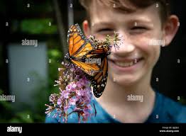 Harrison gilbert hi-res stock photography and images