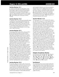 Depending upon the chemical nature of the template (dna or rna) and the nature of nucleic acids synthesized from it (dna or similarly, viruses grown on radioactive sulphur contained radioactive protein but not radio'active dna because dna does not contain sulphur. Chapter 12 Dna And Rna Answer Key