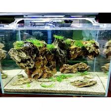 Cara membuat bumbu siomay tidak terlalu sulit bahkan sangat sederhana. Inilah 10 Aksesori Akuarium Ikan Hias Yang Bisa Mempercantik Akuarium Kamu Di Rumah