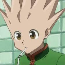 Am I The Only One Who Doesn T Have Killua As Their Favourite Character Hunterxhunter Dragon ball is a japanese media franchise created by akira toriyama in 1984. their favourite character
