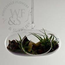 Vases Containers Terranium Wholesale Flowers And Supplies Cheap Terrarium Glass Terrarium Wholesale Flowers And Supplies