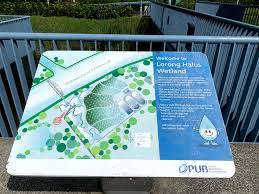 Lunapark kategorisinde yer alan lorong halus wetland adres bilgileri: Week 8 Rowers Bay Coney Island Changi Village Strolling Singapore