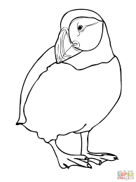 Puffin Coloring Page Coloring Pages Puffin Mindfulness Colouring