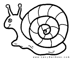 Coloring Book Flowers Outline Snail Coloring Page Snail Picture To Color For Kid Garden Activities Coloring Pages Coloring Books Colouring Pages