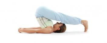 Check spelling or type a new query. Yoga Inversions Wilmington Yoga
