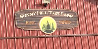 Christmas tree farms open to families across the Southern Tier