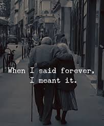 150 Cute Couple Quotes For The Love Of Your Life The Random Vibez Forever Love Quotes Cute Couple Quotes Love Quotes The couples that are meant to be are the ones who go through everything that is meant to tear them apart and come out even stronger than before. cute couple quotes love quotes