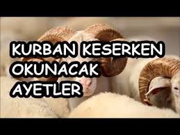 Allahümme hâzâ minke ve leke inne salâtî ve nüsükî ve mahyâye ve memâtî lillâhi rabbil âlemîn. Kurban Keserken Okunacak Ayetler Youtube