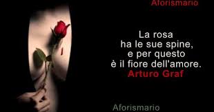 Voi non siete per niente simili alla mia rosa. Aforismario Aforismi Frasi E Proverbi Su Rose E Spine