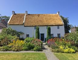 3,997 likes · 76 talking about this · 447 were here. Irish Garden Plant Society Home Facebook