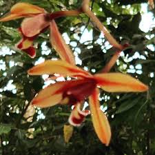 We did not find results for: Orchidwild Instagram Posts Photos And Videos Picuki Com
