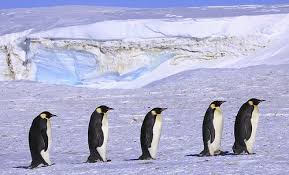 Top 10 Destinations For Twitchers Travel Pictures Travel Inspiration Top 10 Destinations