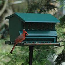 If you are a diy expert who is at your wit's end for getting rid of squirrels, then these tricks may be for you! Absolute Squirrel Proof Feeder More Birdhouses And Feeders Kinsman Garden Company
