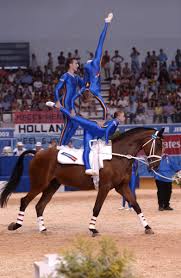 Pin On Horsin Around