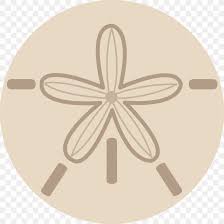 The steel ball is then placed into the influence of the magnets beneath the board. Sand Dollar Seashell Sea Urchin Clip Art Png 4691x4691px Sand Dollar Beach Beige Brown Drawing Download