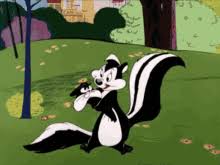 #pepe le pew gif #looney tunes gif #valentine's day gif #pepe le pew #looney tunes #chuck jones #cartoons #cartoons gif #penelope pussycat #warner brothers #pepe le pew #penelope pussycat #pepe le pew gif #looney tunes #merrie melodies #tv #my gifs #animated #animation #cartoon. Pepe Le Pew Gifs Tenor