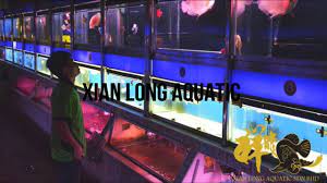 Takde upah, no hidden charges. Aquarium Malaysia Xian Long Aquatic Shah Alam Youtube