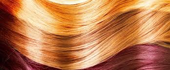 Permanent Hair Dye Ingredient Inside Our Products L Oreal