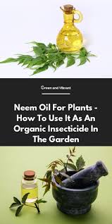 Coconut oil is solid at room temperature, so you'll have to melt it before you can. Neem Oil For Plants How To Use It As An Organic Insecticide In The Garden Trees Com Organic Insecticide Natural Insecticide Insecticide For Plants