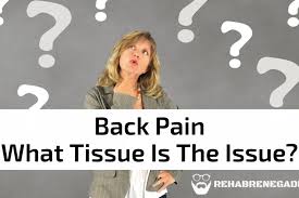 Translations of the phrase back issues from english to spanish and examples of the use of back issues in a sentence with their translations: Back Pain What Tissue Is The Issue Rehab Renegade