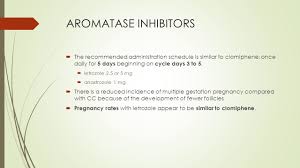 Letrozole 2.5 mg twice a day for pregnancy. Infertility Dr Bahador Mirrahimi Pharmd Ibscp Assistant Professor Sbmu Ppt Download