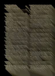 Image result for Cylindropsis parvifolia