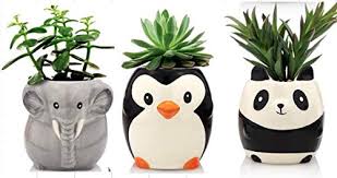 Large Animal Ceramic Succulent Planters Set Of 3 3 5 Inch Cactus Pots With Drainage Hole Cute Gift Panda Penguin Elephant Buy Online In Aruba At Aruba Desertcart Com Productid 178981348 They are fun, they are functional, and the best part is that when a while we do have some large planters that are attached to arches, and trucks, and even large.
