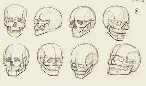 Matthias Kinnigkeit Sketchbook Sketch Book Skulls Drawing Skull Sketch