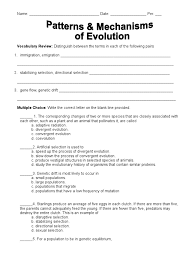 Slow down the process of convergent evolution. Evolution And Selection Worksheet Worksheets Selection And Patterns Of Evolution Worksheet Opossumsoft Worksheets And Evolution And Selection Worksheet Awesome Peppered Moth Evolution In Evidence For Evolution 1 Evidence For Evolution How