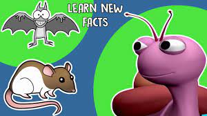 274 questions and answers about 'animals for kids' in our 'topics for kids' category. Interesting Facts About Animals For Kids Youtube
