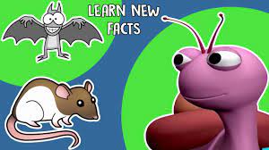 Animals wild preschool circle time interesting animals homeschool science sloth facts animal facts interesting facts facts this list of animal books for kids is the perfect place to read about animals! Interesting Facts About Animals For Kids Youtube