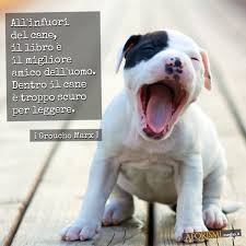 Groucho Marx All Infuori Del Cane Il Libro E Il Migliore Amico Dell Uomo Dentro Il Cane